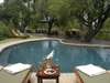 Sabi Sabi Bush Lodge - Pool 